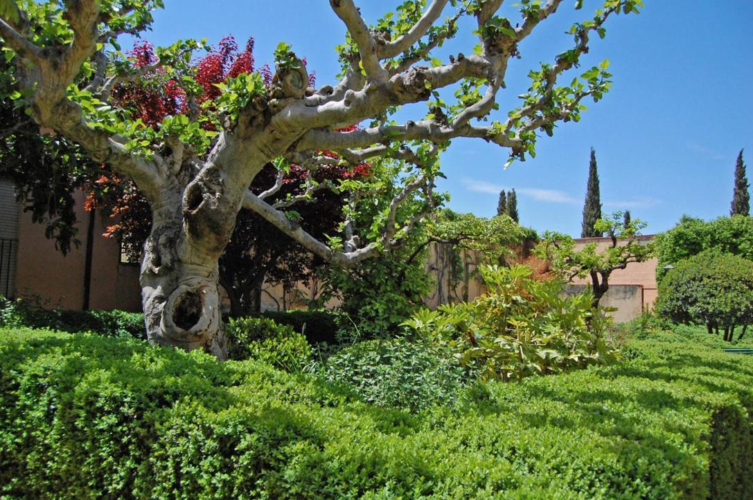 Un Vergel Al Pie De La Alhambra. Enjoy It Now!! Granada Exteriér fotografie